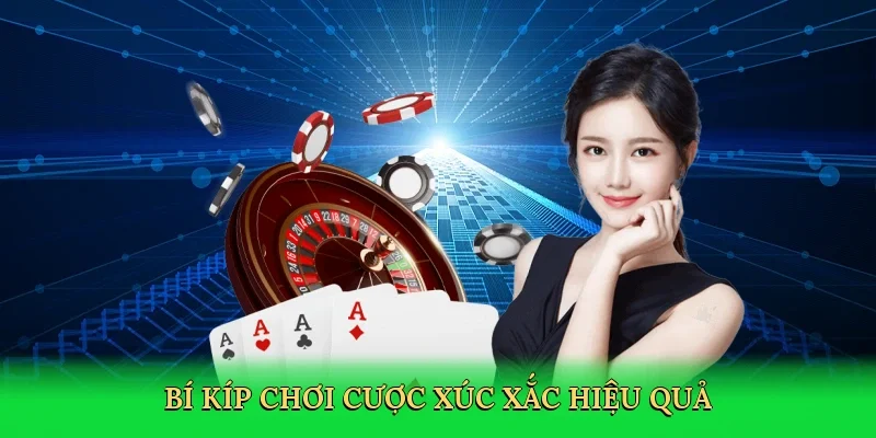 Bí kíp chơi cược xúc xắc hiệu quả