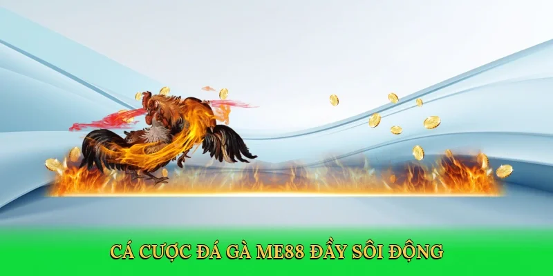 Cá cược đá gà ME88 đầy sôi động