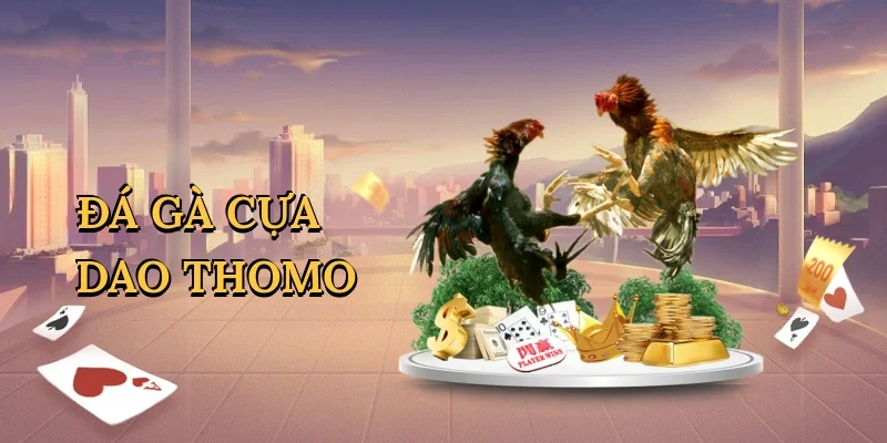 Đá gà cựa dao Thomo