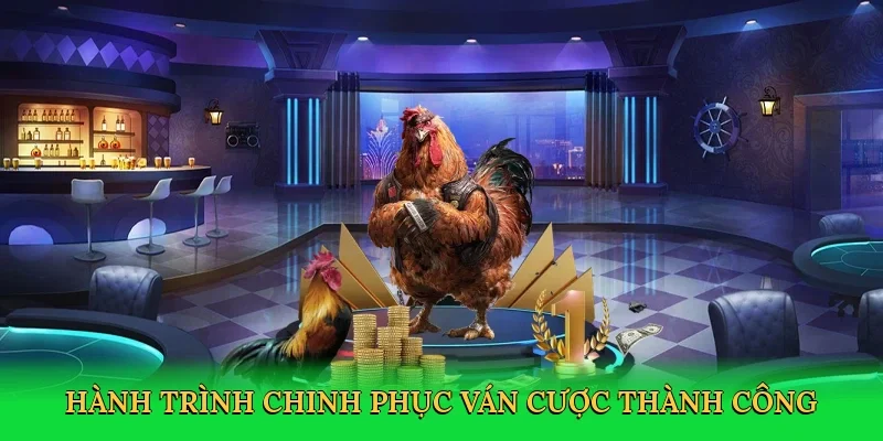 Hành trình chinh phục ván cược thành công