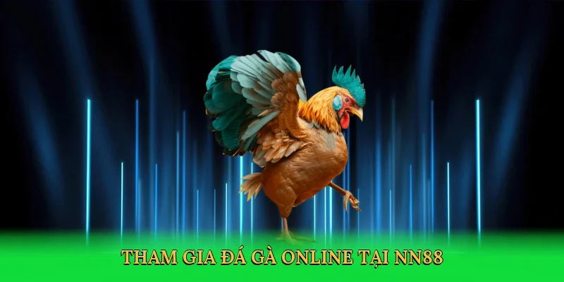 Tham gia đá gà online tại NN88