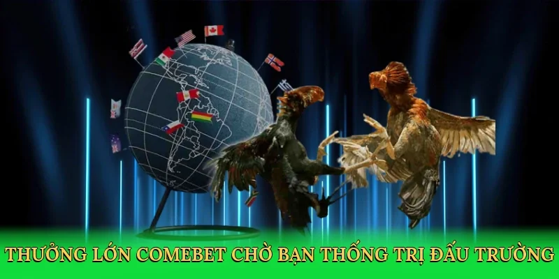 Thưởng lớn Comebet chờ bạn thống trị đấu trường