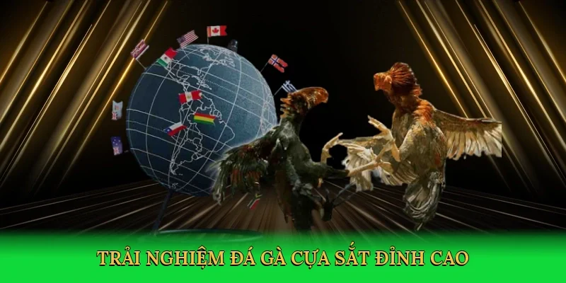 Trải nghiệm Đá gà cựa sắt đỉnh cao